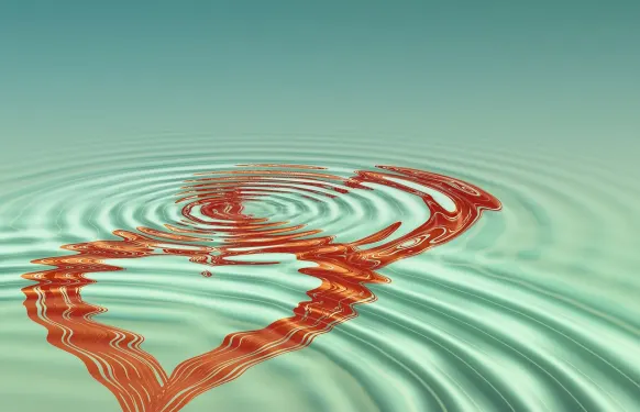 Rex Casino Stuðningur